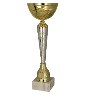 Puchar metalowy złoto – srebrny (karton)