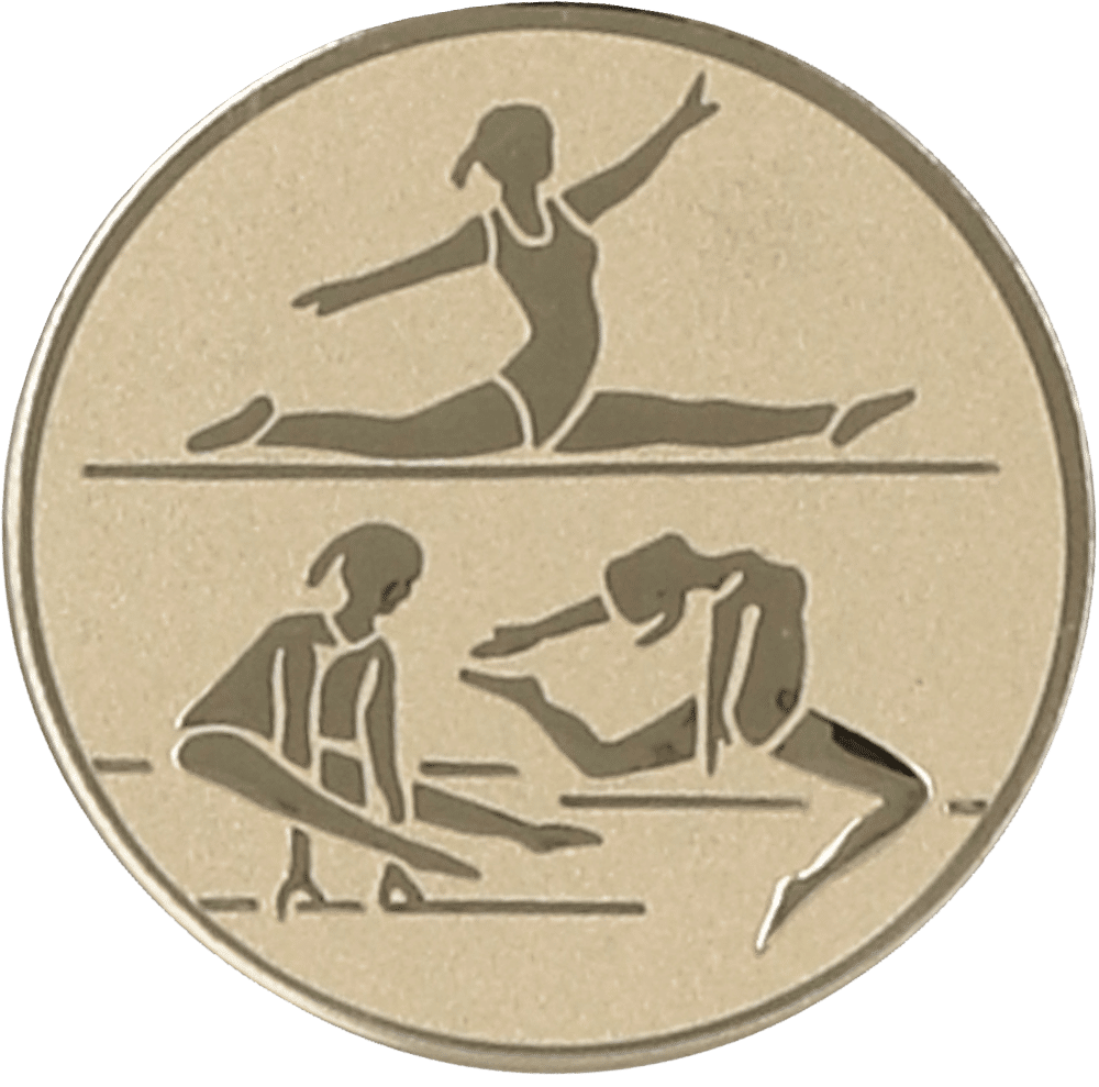 Aluminum emblem - gymnastics