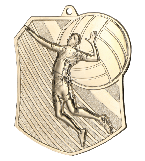 Medal srebrny - siatkówka