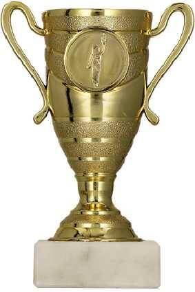 Gold plastic cup
