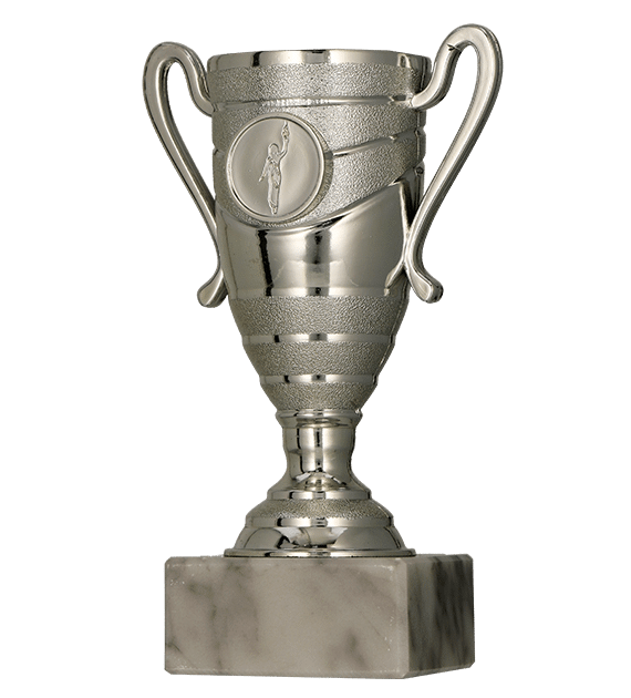 Silver plastic cup