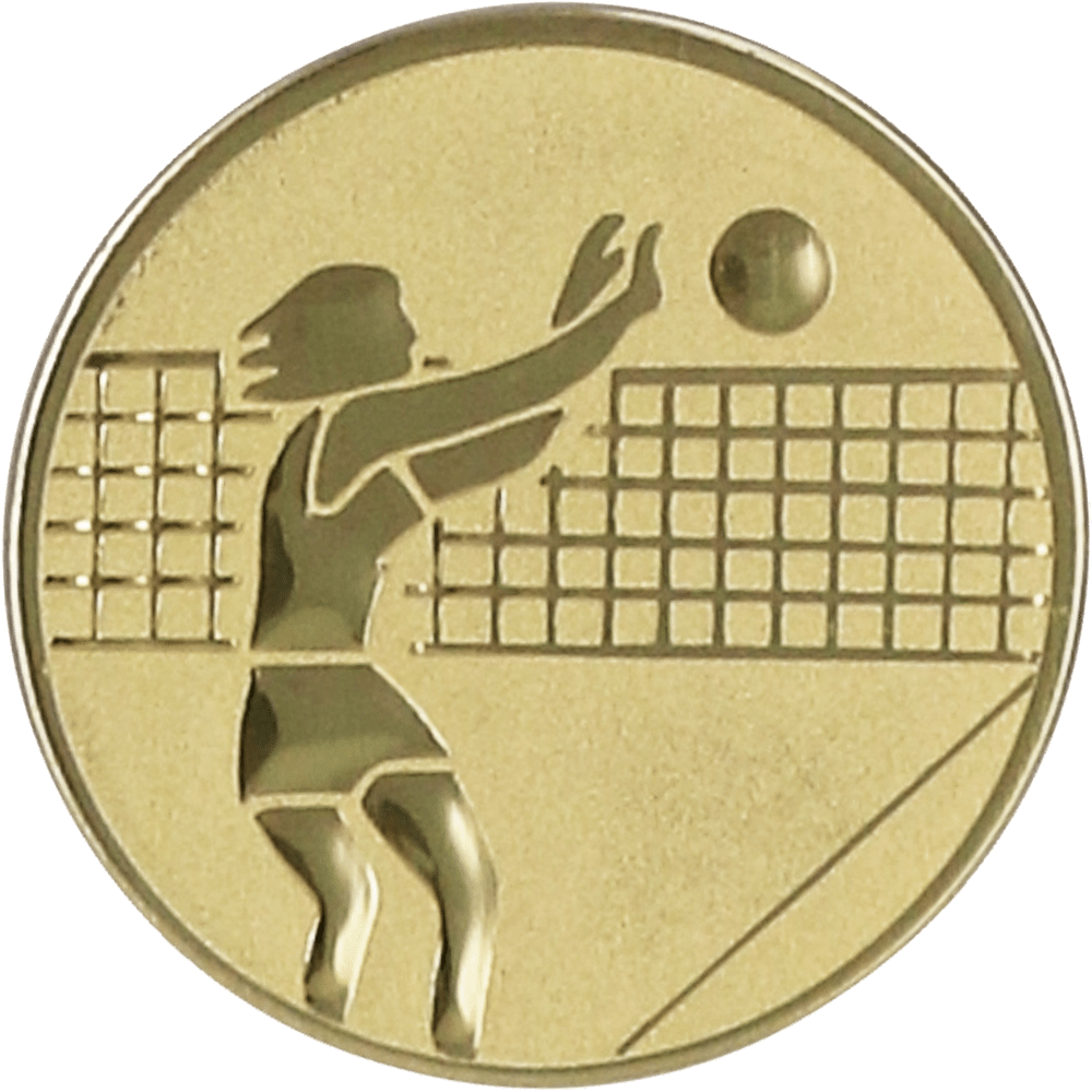 Aluminum emblem - voleyball