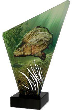 Glass trophy - fishing - carp