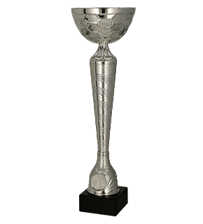 Puchar metalowy srebrny (karton)