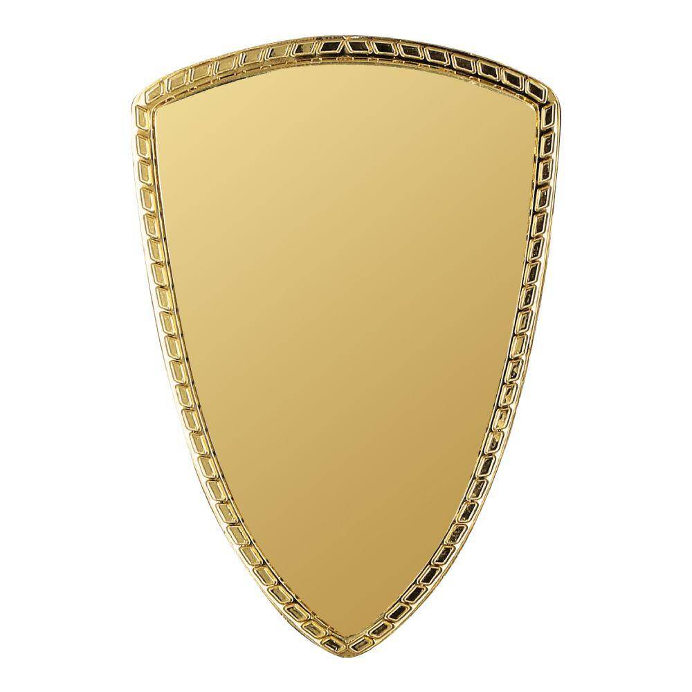 Plastic shield