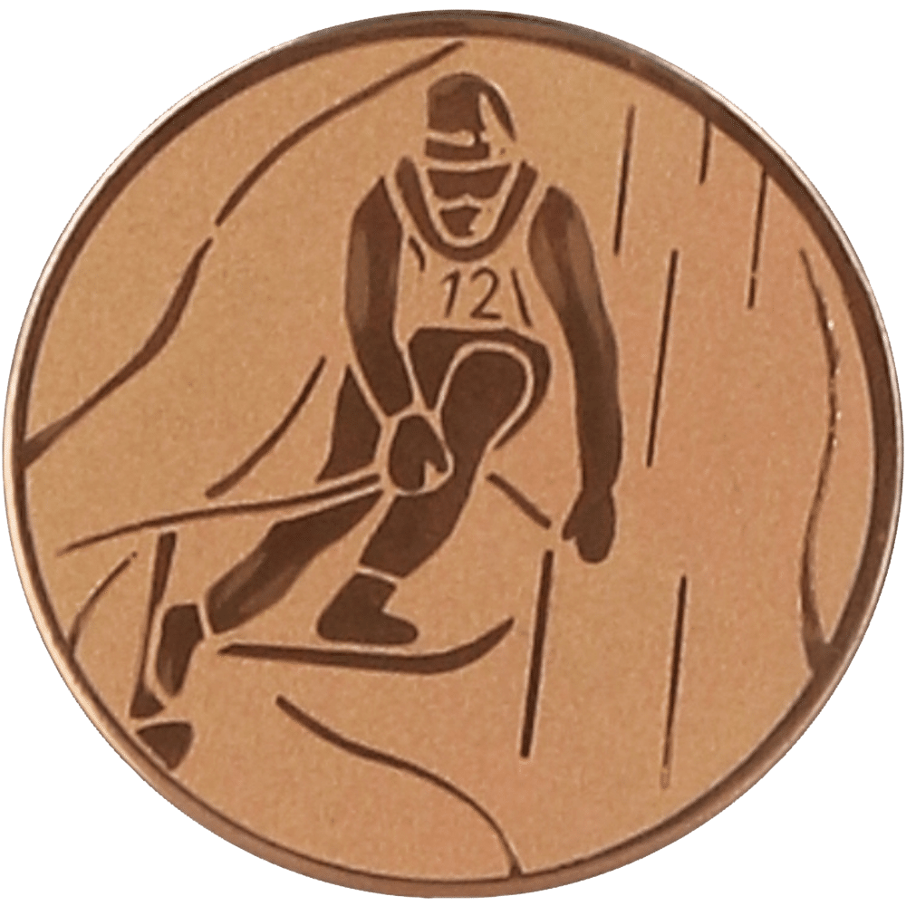 Aluminum emblem - skiing