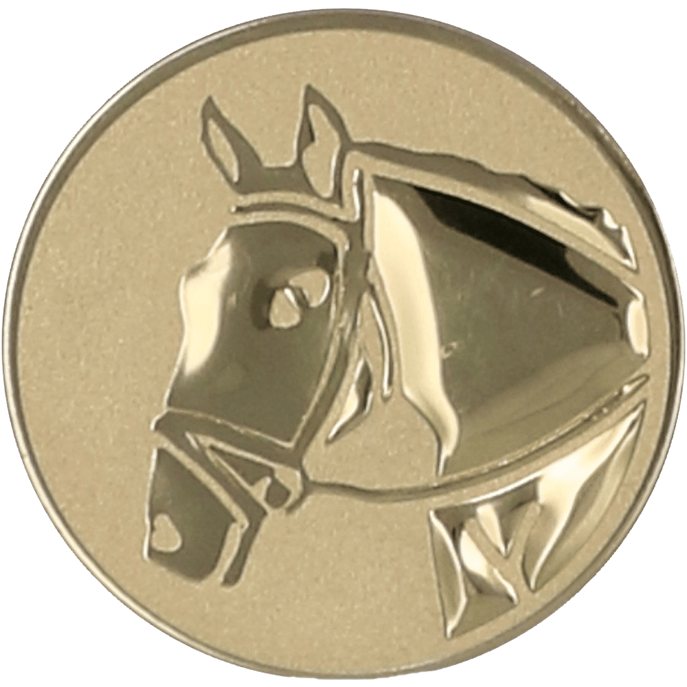 Aluminum emblem - horse riding