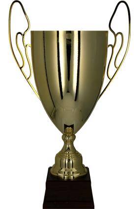 Metal cup gold