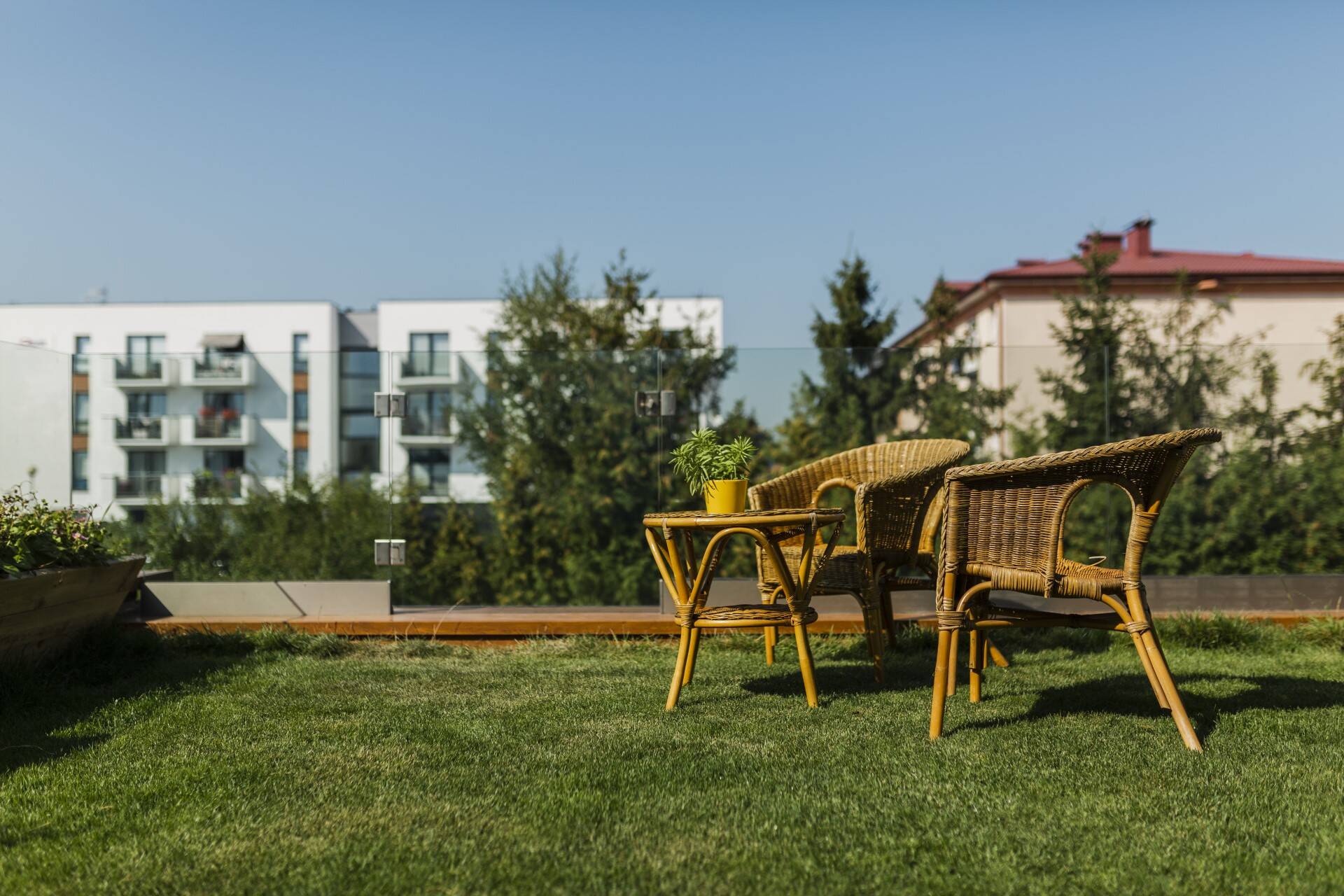 Thermano Roof jako termoizolacja zielonego dachu - blog Lubar