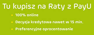 pay u zakup ratalny