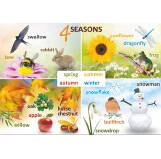 Plakat- cztery pory roku po angielsku